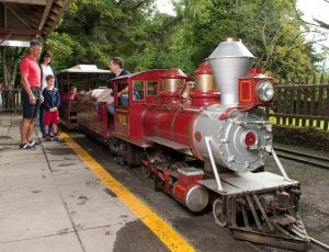 Westport House Rail Train