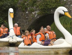 Swan Pedaloes