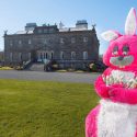 #EasterIsComing At Westport House