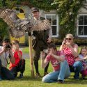 Birds Of Prey Centre At Westport House