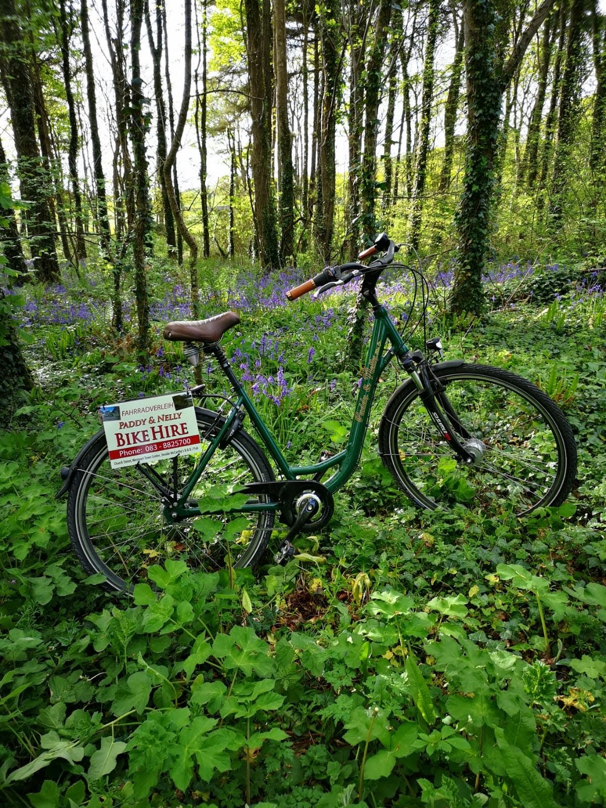 Paddy_Nelly_Bike_Hire_1