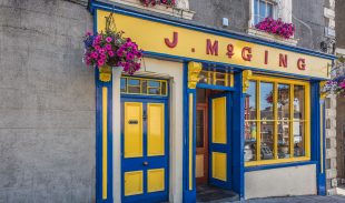 McGings McGings