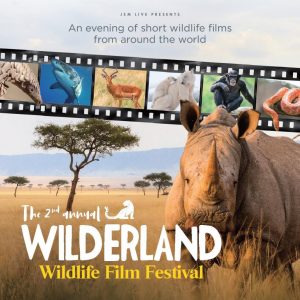 DW_Feb_Event 3_Wilderland_pic